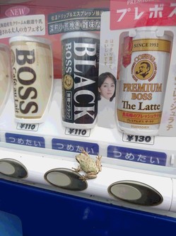 自販機とカエル