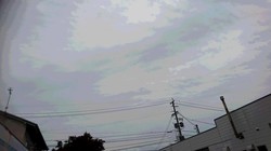 今日の天気