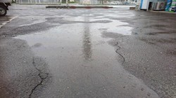 雨の朝
