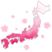 桜　開花