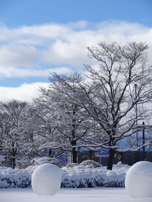 雪